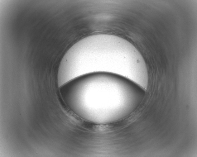 X0000068890273200605051123
