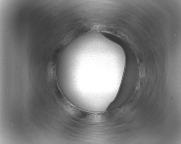 X0000068890276200605051123