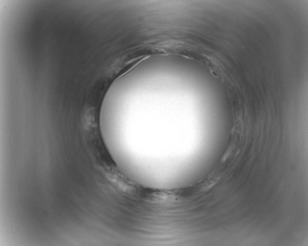 X0000068890284200605051123