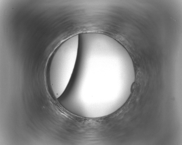 X0000068890290200605051122