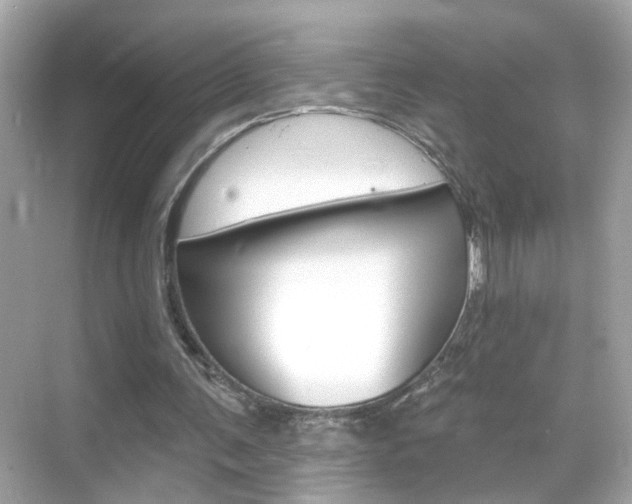 X0000068890291200605051122