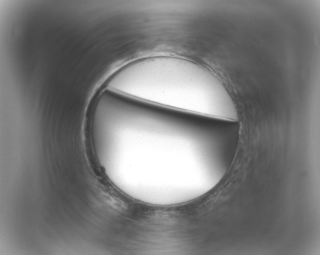 X0000068890292200605051122