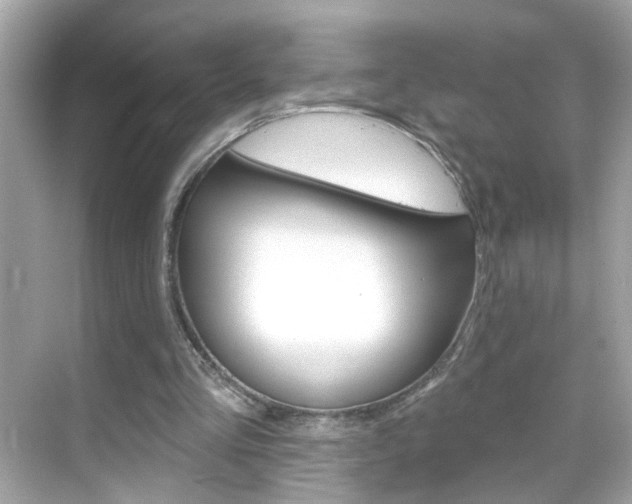 X0000068890293200605051122