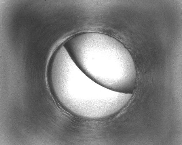 X0000068890294200605051122