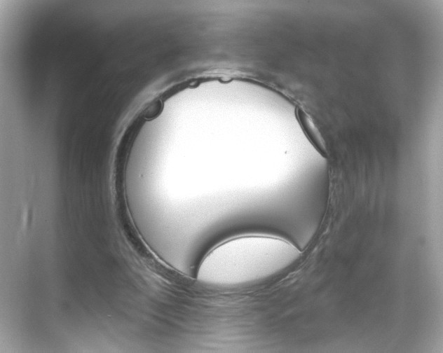 X0000068890296200605051122