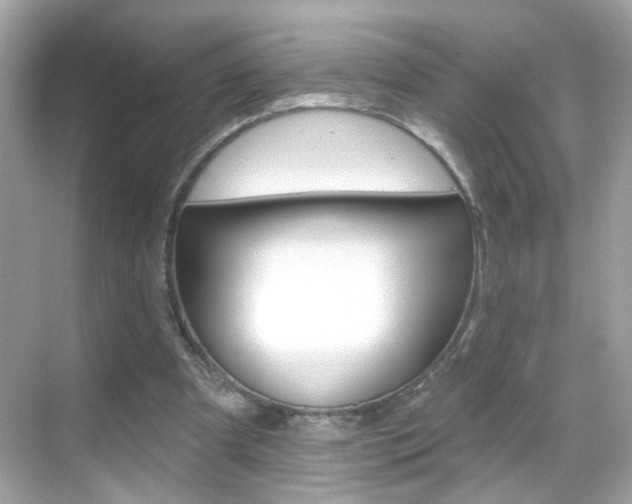 X0000068890297200605051122