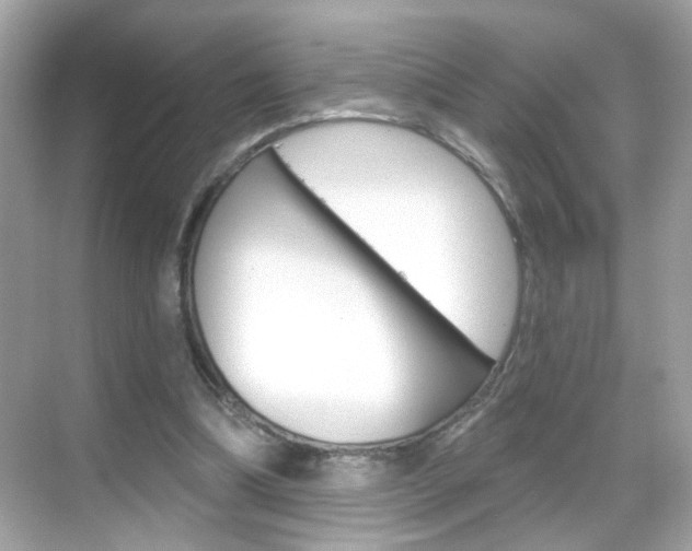 X0000068890298200605051122