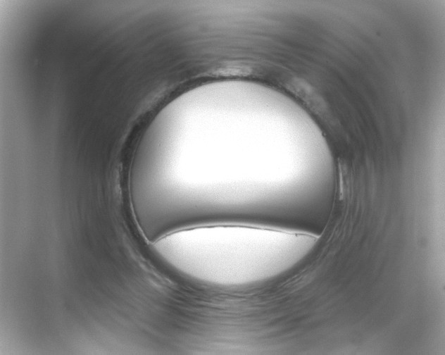 X0000068890300200605051122