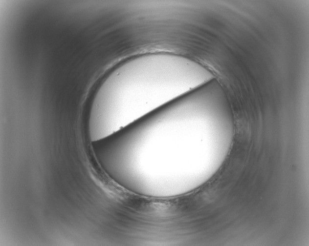 X0000068890302200605051122