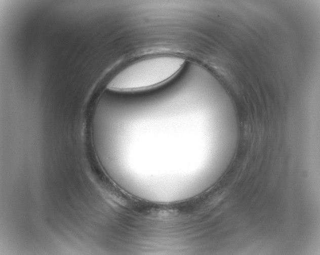 X0000068890304200605051122