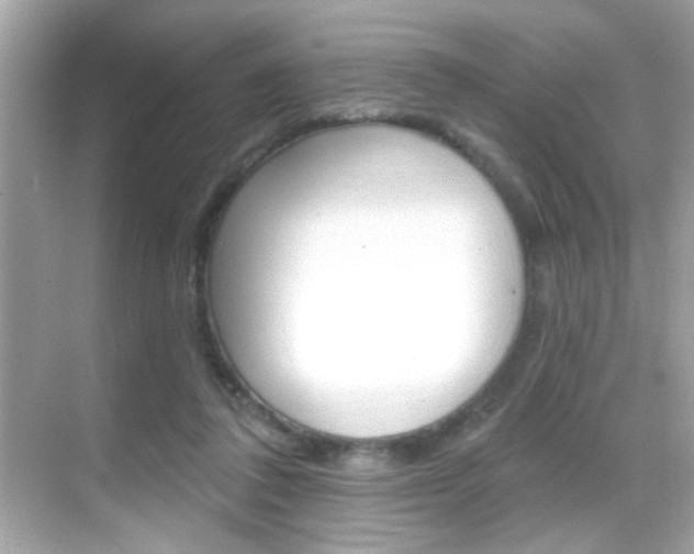 X0000068890308200605051122