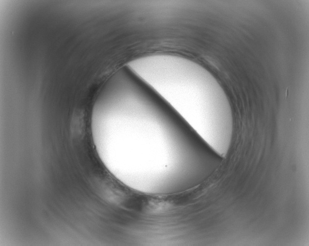 X0000068890311200605051122