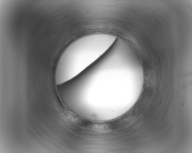 X0000068890314200605051122