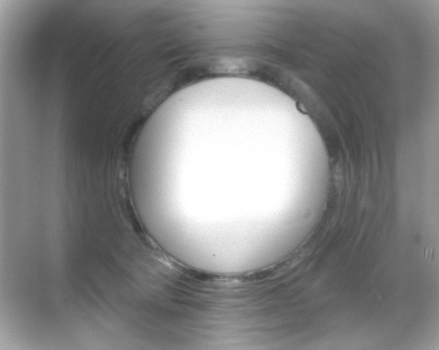 X0000068890322200605051122