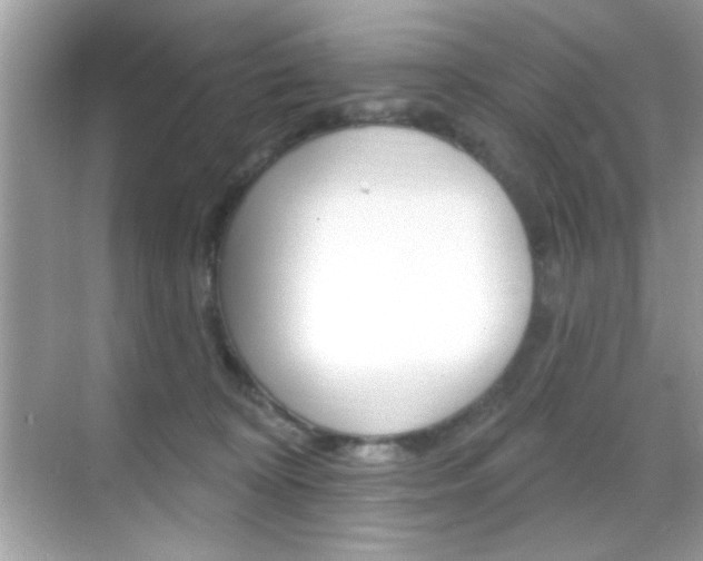 X0000068890324200605051122