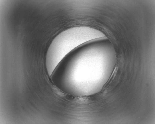 X0000068890329200605051121