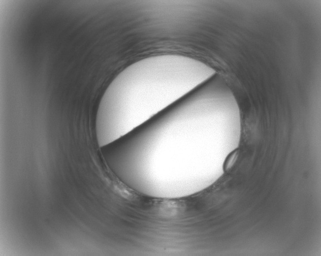 X0000068890330200605051121