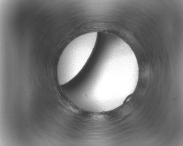 X0000068890332200605051121