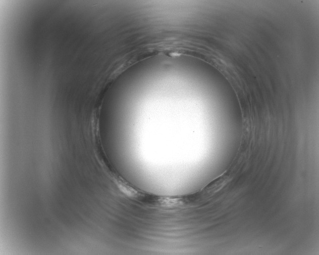 X0000068890333200605051121