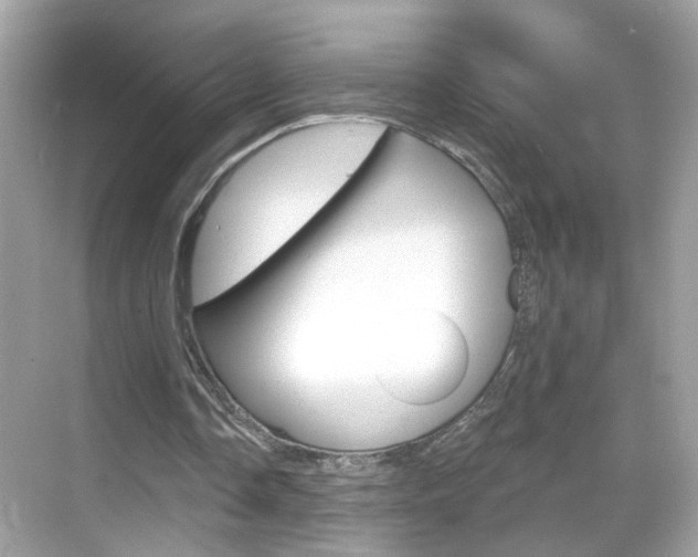 X0000068890338200605051121