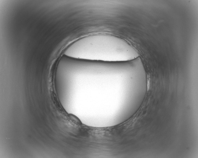 X0000068890339200605051121