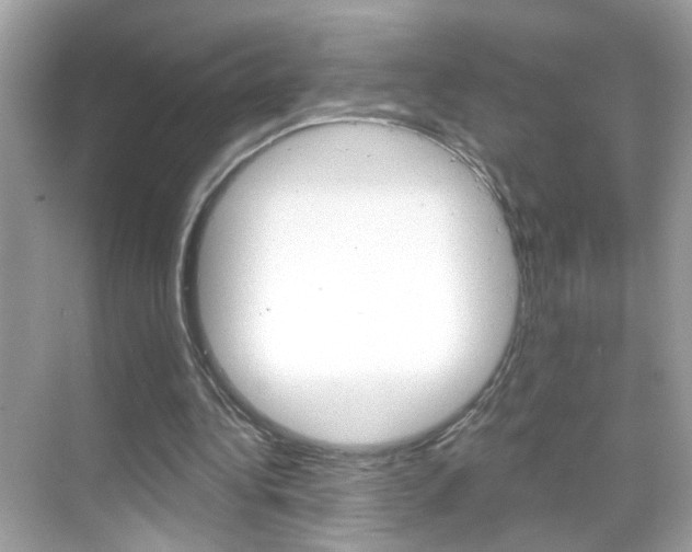 X0000068890340200605051121