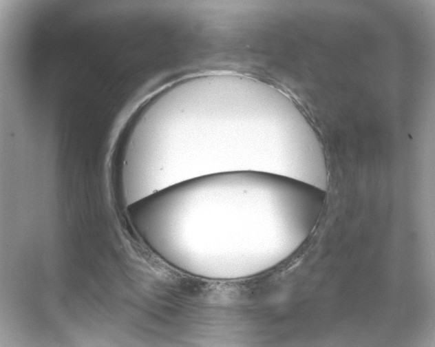 X0000068890343200605051121