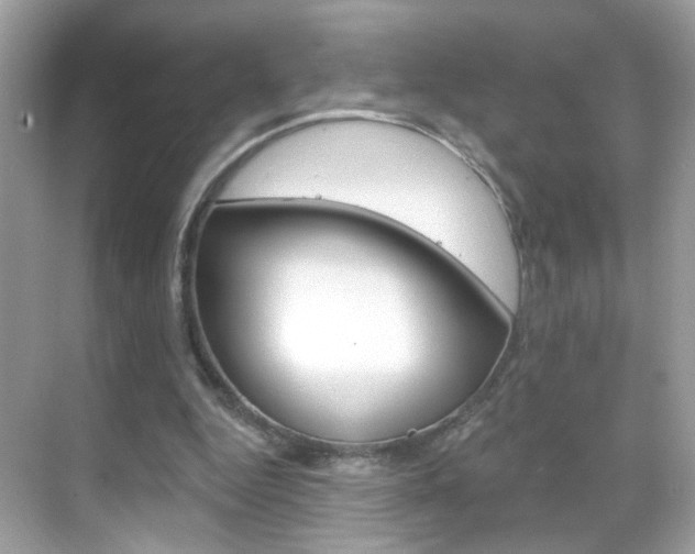 X0000068890344200605051121