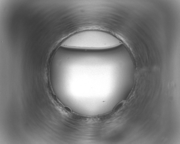 X0000068890345200605051121