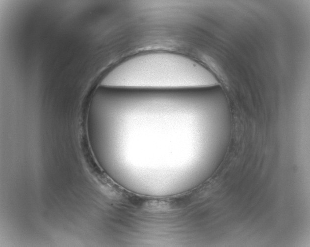 X0000068890354200605051121