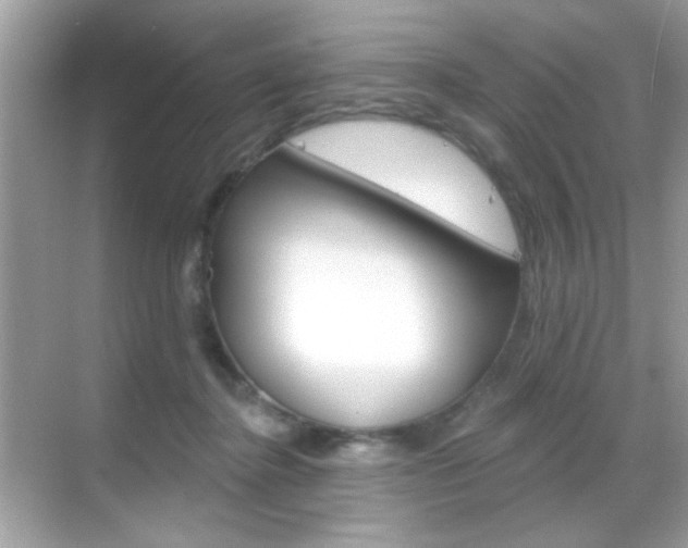 X0000068890364200605051121