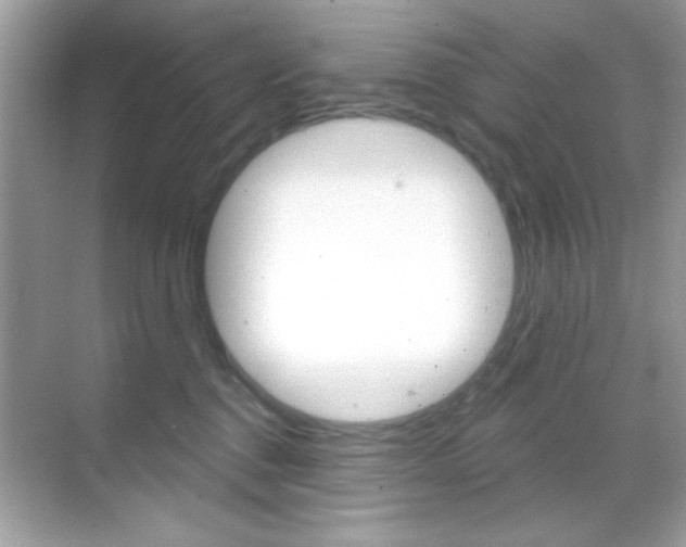 X0000068890376200605051121