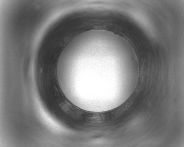 X0000068890383200605051121