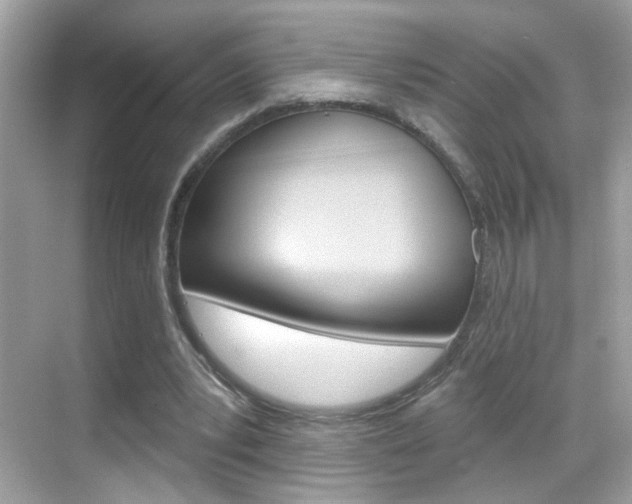 X0000068890391200605051120