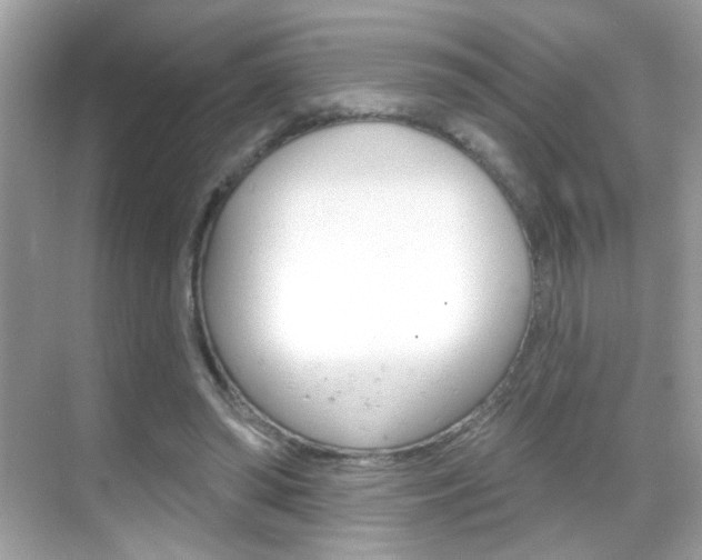 X0000068890398200605051120
