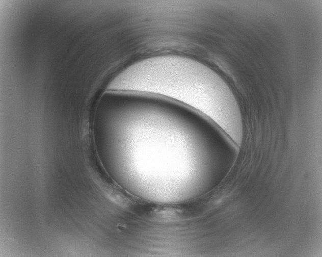 X0000068890407200605051120