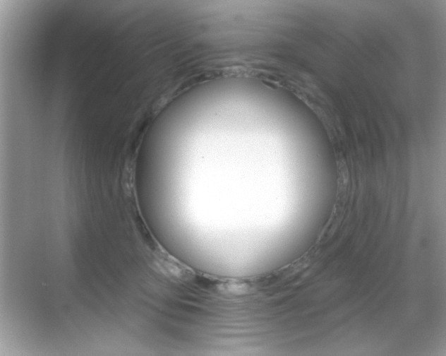X0000068890419200605051120