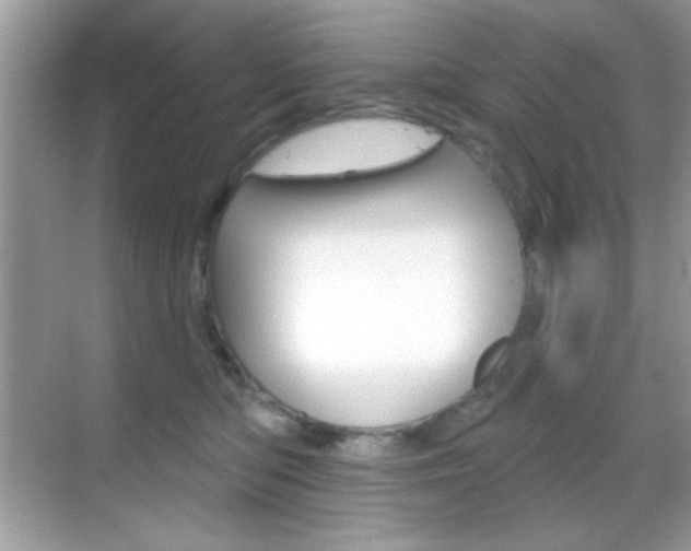 X0000068890422200605051120