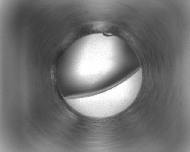X0000068890424200605051120