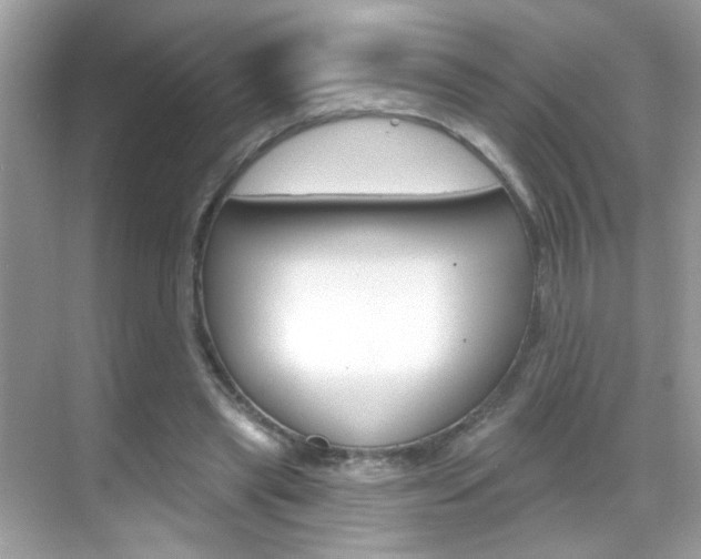 X0000068890445200605051119