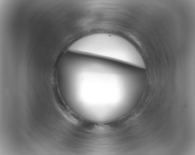 X0000068890455200605051119