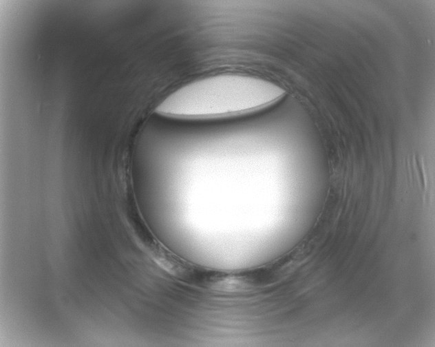 X0000068890460200605051119