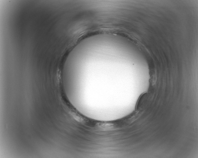X0000068890476200605051120