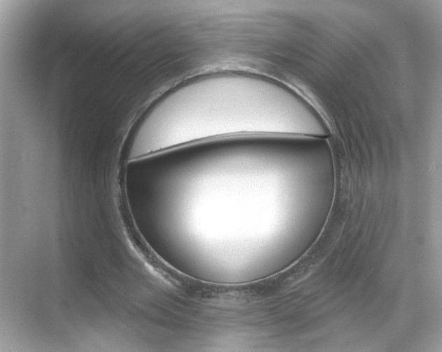 X0000068890485200605051119