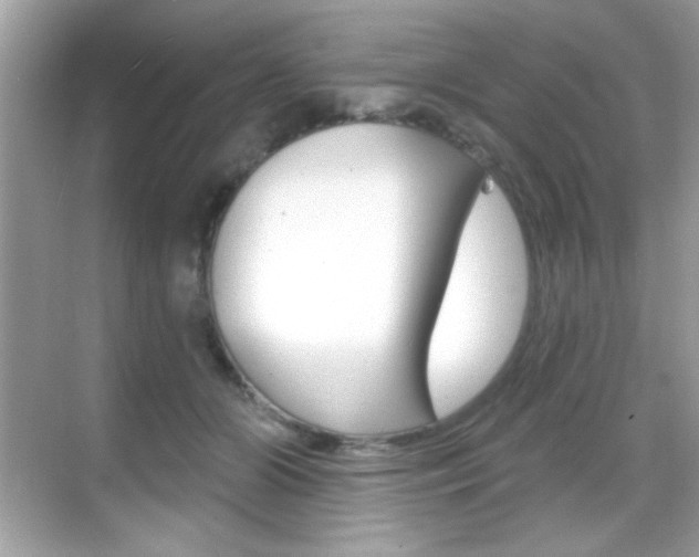 X0000068890510200605051118