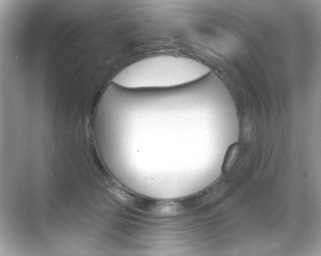 X0000068890514200605051118