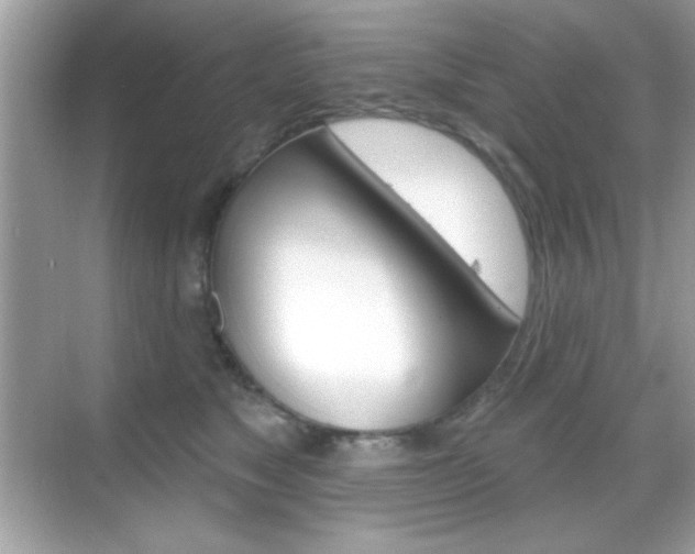 X0000068890517200605051118