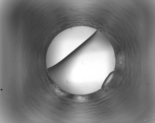 X0000068890522200605051118