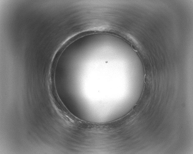 X0000068890532200605051117