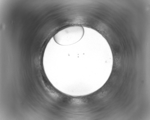X0000068890534200605051117
